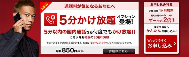 5分以内の通話は無料で月に3.1GB使えて月額2,450円！