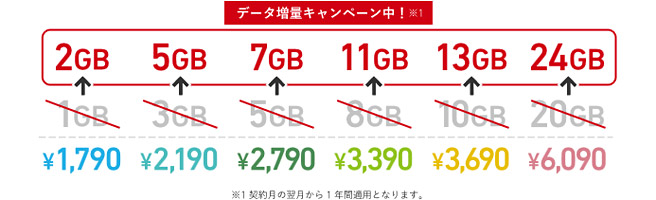 通信量が固定のプランも用意