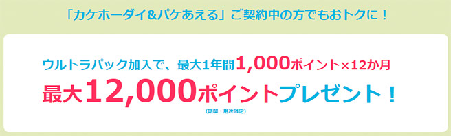 既にスマホを持っている場合は毎月1,000ポイント還元