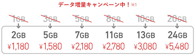 キャンペーンで1年間は通信料が増量