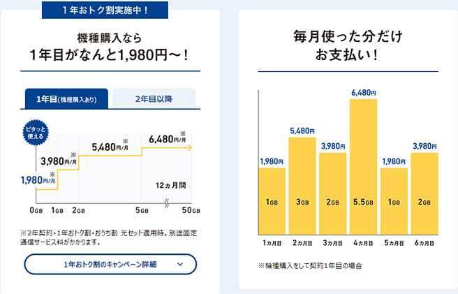 一つ目の「ミニモンスター」は、使った分だけ払うお手軽プラン