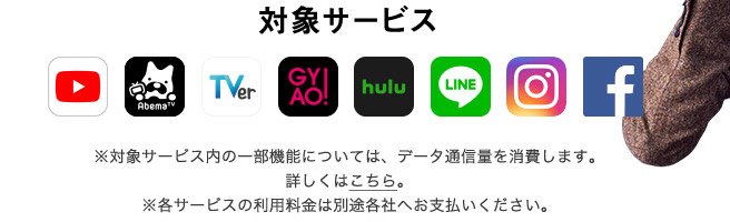 対象の動画やSNSが使い放題になります。とはいえ、月に50GBもあれば、対象のサービスが使い放題にならなくても、十分な気もします