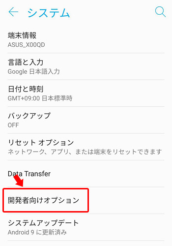 「システム」の画面まで戻ると「開発者向けオプション」が表示されていますので、タップします。
