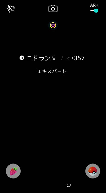 ポケモン捕獲時にARモードに切り替えると画面が真っ暗になってしまって、カメラが全く使えない状態になってしまったのです。。。