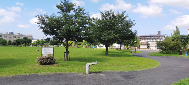 次は風景写真になります。晴れた日の公園を撮影してみました。