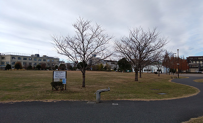 今度は、公園の風景を撮影してみます。 曇りの日とはいえ、実際よりも薄暗い感じで撮影されてしまいました。