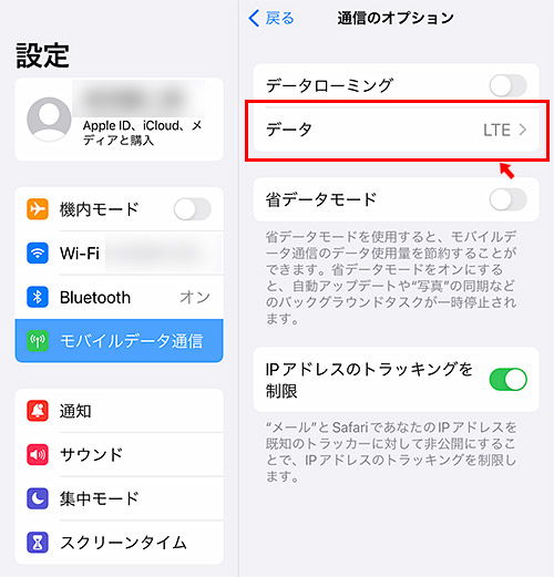 通信のオプションが開いたら「音声通話とデータ」または「データ」をタップします。